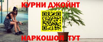 гидропоника Гусев