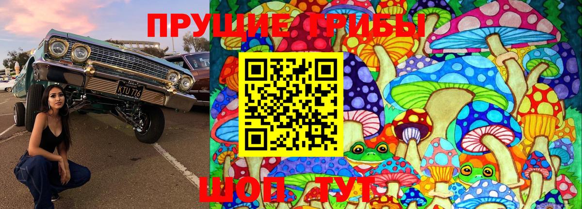Галлюциногенные грибы MAGIC MUSHROOMS  Галлюциногенные грибы Psilocybine cubensis  Вход с VPN  Волоколамск 