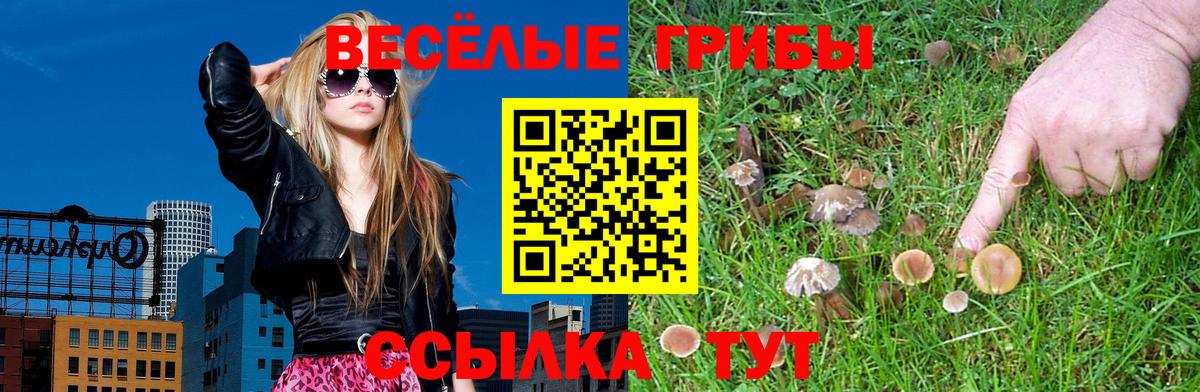 Псилоцибиновые грибы Magic Shrooms Волоколамск